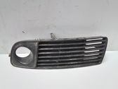 Front fog light trim/grill