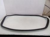 Trunk rubber seal (body)