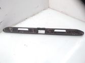 Trunk door license plate light bar