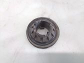 Rear coil spring rubber mount