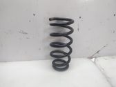 Rear coil spring