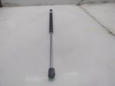 Front bonnet/hood damper/strut