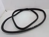 Trunk rubber seal (body)