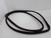 Front door rubber seal