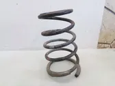 Rear coil spring