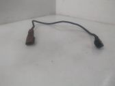 Detonation knock sensor