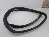 Front door rubber seal