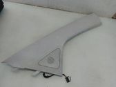 (A) pillar trim