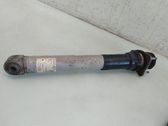 Rear shock absorber/damper