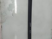 Listón embellecedor de la puerta delantera (moldura)