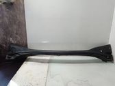 Wiper trim