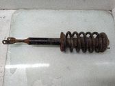 Stoßdämpfer Federbein
