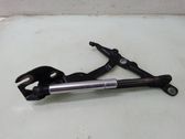 Tailgate/trunk/boot hinge