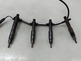 Fuel injectors set