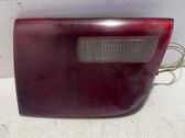 Tailgate rear/tail lights