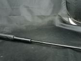 Front bonnet/hood damper/strut