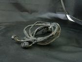 Other wiring loom