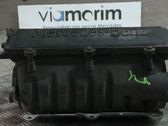 Intake manifold