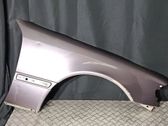 Fender