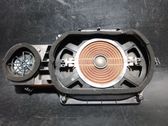Panel speaker