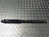 Stoßdämpfer hinten