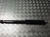 Rear shock absorber/damper
