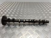Holder (bracket)