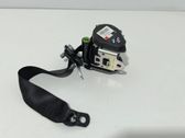 Cinturón trasero