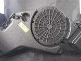 Panel speaker