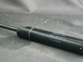 Tailgate/trunk strut/damper