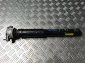 Stoßdämpfer hinten