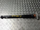 Stoßdämpfer hinten