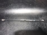 Tailgate/trunk strut/damper