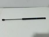 Tailgate/trunk strut/damper