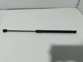 Tailgate/trunk strut/damper