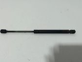 Amortiguador/puntal del maletero/compartimento de carga