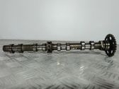 Nockenwelle