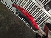 Takavalot