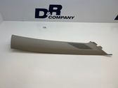 (A) pillar trim