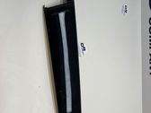 Moulures des vitres de la porte avant