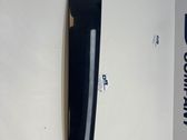 Front door glass trim molding