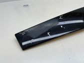 Rear door glass trim molding