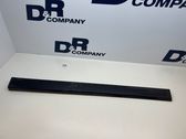 Front door trim (molding)