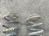 Feder hinten