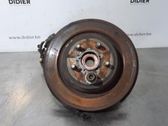 Rear wheel hub spindle/knuckle