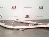 Roof airbag