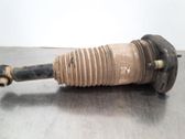 Rear shock absorber/damper