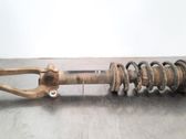 Front shock absorber/damper