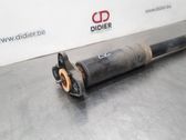 Rear shock absorber/damper