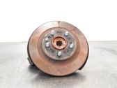 Rear wheel hub spindle/knuckle